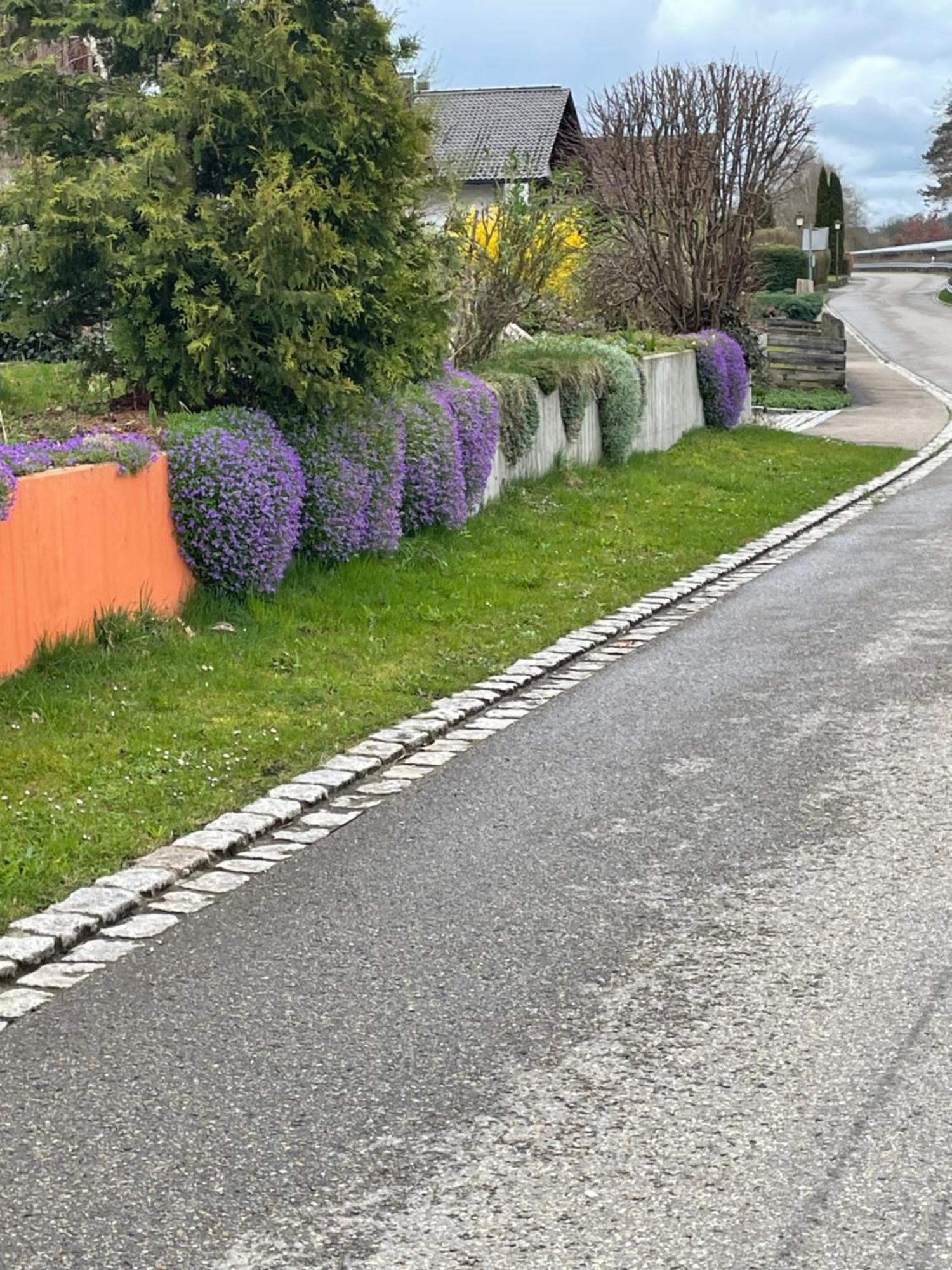 Zimmer In Lautrach Екстер'єр фото